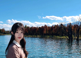 配图